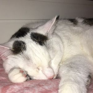 Meet your Posher, Jade